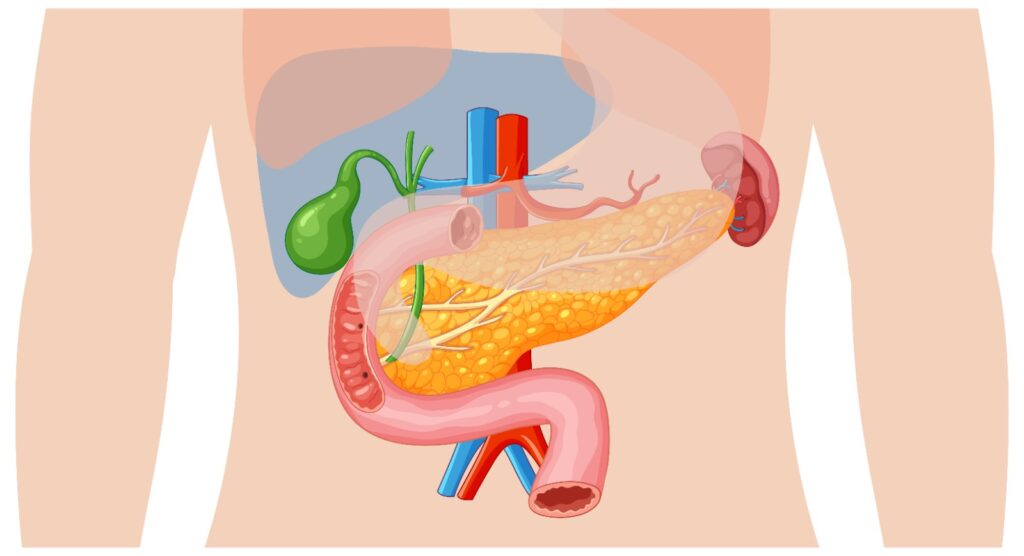 Medical Gastroenterology